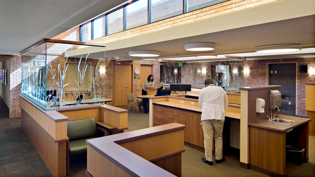 Hazelden Ignatia Renovation