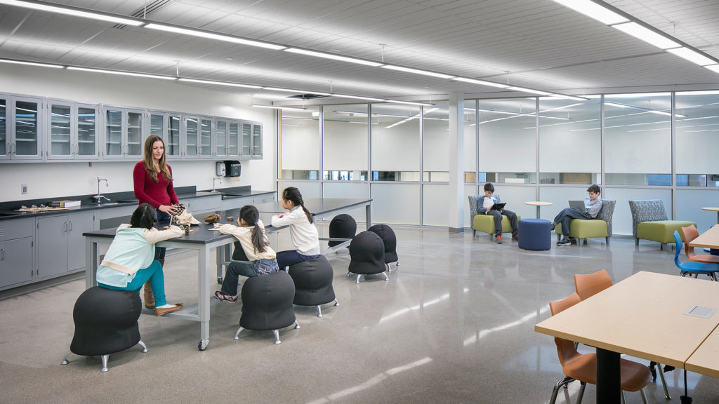 Minneapolis Public Schools Webster Elementary Extensive Remodel