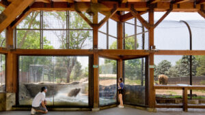 Great Plains Zoo Brown Bear Exhibit Renovations
